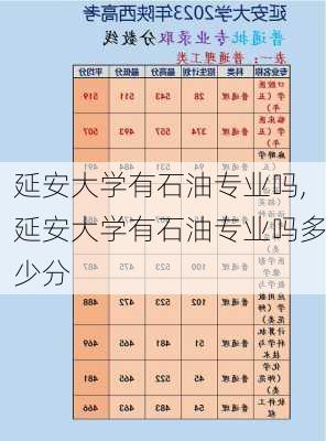 延安大学有石油专业吗,延安大学有石油专业吗多少分