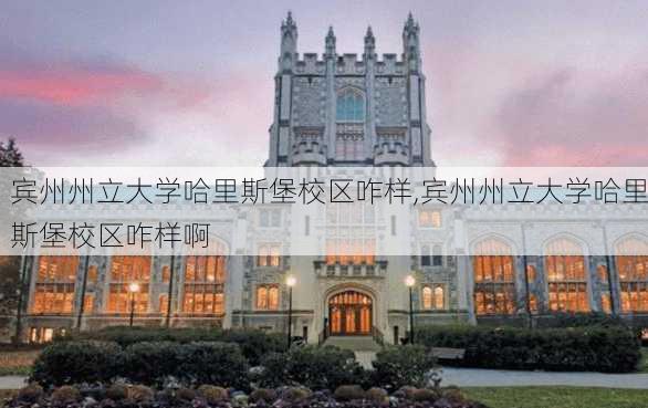 宾州州立大学哈里斯堡校区咋样,宾州州立大学哈里斯堡校区咋样啊