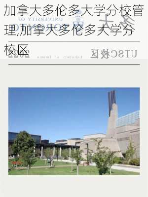 加拿大多伦多大学分校管理,加拿大多伦多大学分校区