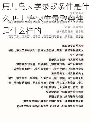 鹿儿岛大学录取条件是什么,鹿儿岛大学录取条件是什么样的