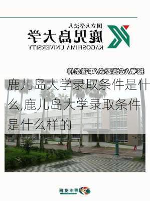 鹿儿岛大学录取条件是什么,鹿儿岛大学录取条件是什么样的