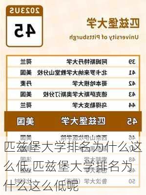 匹兹堡大学排名为什么这么低,匹兹堡大学排名为什么这么低呢