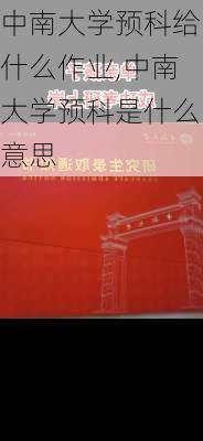 中南大学预科给什么作业,中南大学预科是什么意思