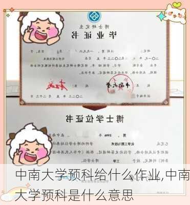 中南大学预科给什么作业,中南大学预科是什么意思