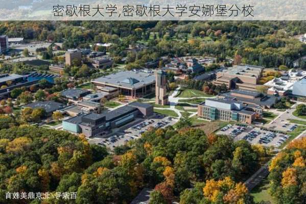 密歇根大学,密歇根大学安娜堡分校