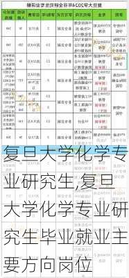 复旦大学化学专业研究生,复旦大学化学专业研究生毕业就业主要方向岗位