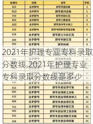 2021年护理专业专科录取分数线,2021年护理专业专科录取分数线是多少