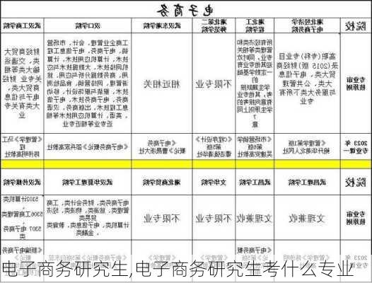 电子商务研究生,电子商务研究生考什么专业