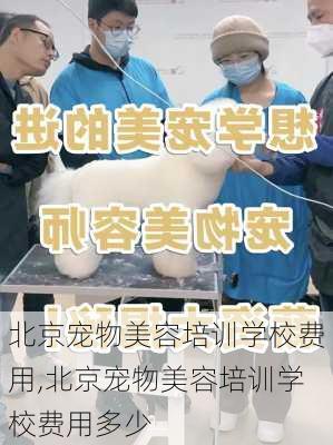 北京宠物美容培训学校费用,北京宠物美容培训学校费用多少