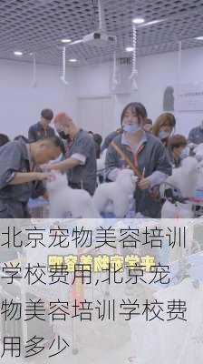 北京宠物美容培训学校费用,北京宠物美容培训学校费用多少