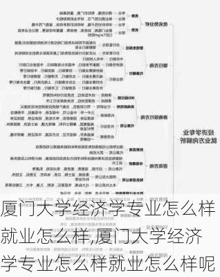 厦门大学经济学专业怎么样就业怎么样,厦门大学经济学专业怎么样就业怎么样呢