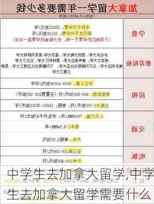 中学生去加拿大留学,中学生去加拿大留学需要什么