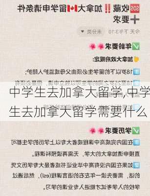 中学生去加拿大留学,中学生去加拿大留学需要什么