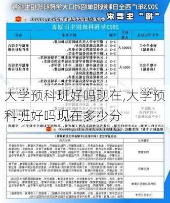 大学预科班好吗现在,大学预科班好吗现在多少分