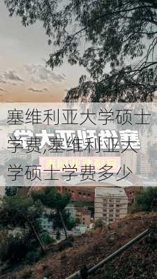 塞维利亚大学硕士学费,塞维利亚大学硕士学费多少