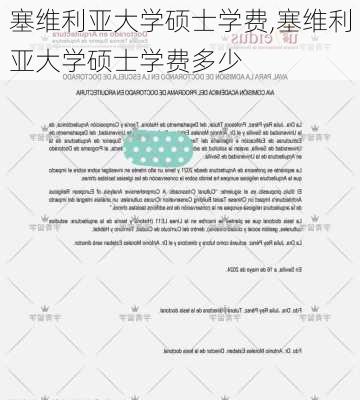 塞维利亚大学硕士学费,塞维利亚大学硕士学费多少