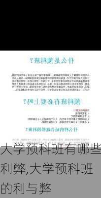 大学预科班有哪些利弊,大学预科班的利与弊