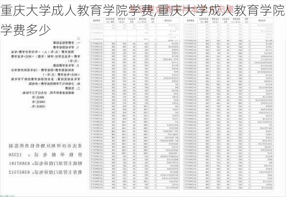 重庆大学成人教育学院学费,重庆大学成人教育学院学费多少