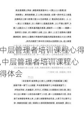 中层管理者培训课程心得,中层管理者培训课程心得体会