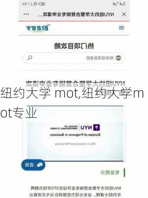 纽约大学 mot,纽约大学mot专业