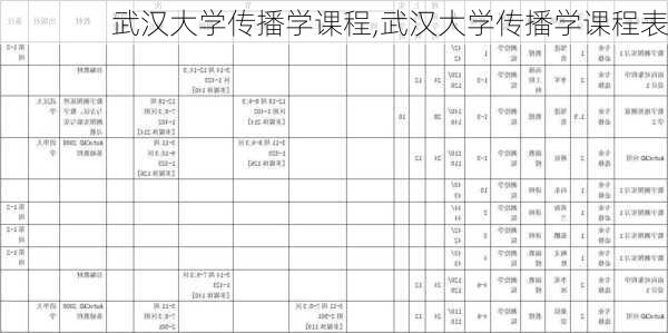 武汉大学传播学课程,武汉大学传播学课程表