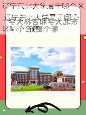 辽宁东北大学属于哪个区,辽宁东北大学属于哪个区哪个街道