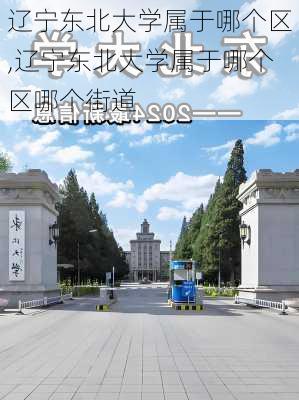 辽宁东北大学属于哪个区,辽宁东北大学属于哪个区哪个街道