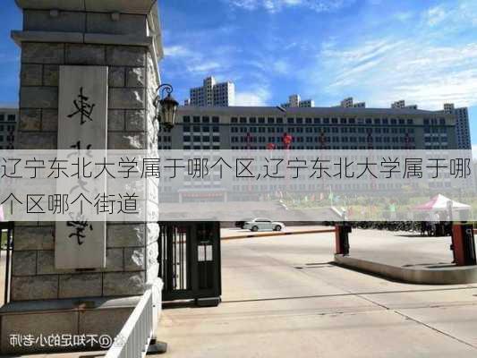 辽宁东北大学属于哪个区,辽宁东北大学属于哪个区哪个街道