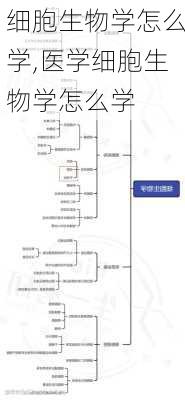 细胞生物学怎么学,医学细胞生物学怎么学