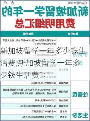 新加坡留学一年多少钱生活费,新加坡留学一年多少钱生活费啊