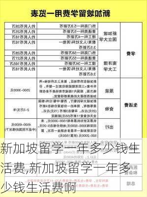 新加坡留学一年多少钱生活费,新加坡留学一年多少钱生活费啊