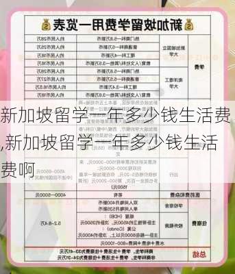 新加坡留学一年多少钱生活费,新加坡留学一年多少钱生活费啊