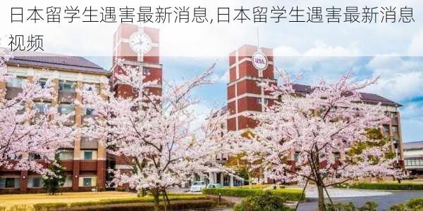 日本留学生遇害最新消息,日本留学生遇害最新消息视频