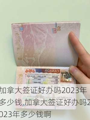 加拿大签证好办吗2023年多少钱,加拿大签证好办吗2023年多少钱啊