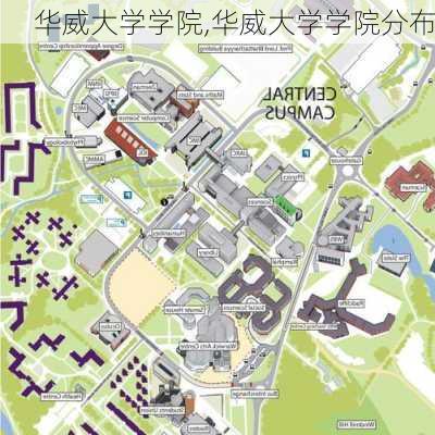 华威大学学院,华威大学学院分布