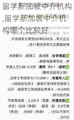 留学新加坡中介机构,留学新加坡中介机构哪个比较好