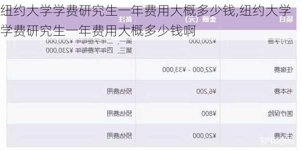 纽约大学学费研究生一年费用大概多少钱,纽约大学学费研究生一年费用大概多少钱啊