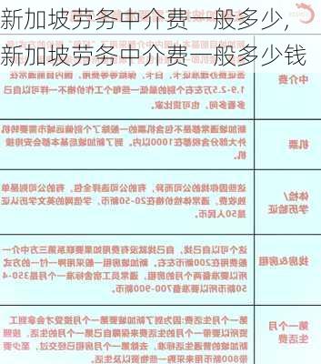 新加坡劳务中介费一般多少,新加坡劳务中介费一般多少钱