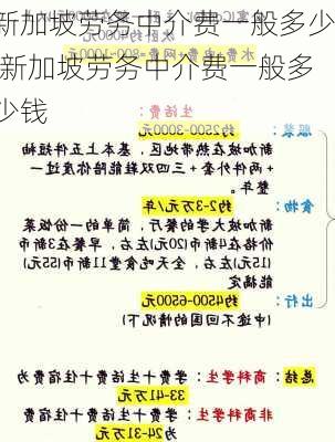 新加坡劳务中介费一般多少,新加坡劳务中介费一般多少钱