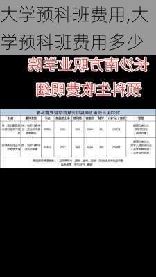 大学预科班费用,大学预科班费用多少