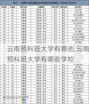 云南预科班大学有哪些,云南预科班大学有哪些学校