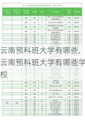 云南预科班大学有哪些,云南预科班大学有哪些学校