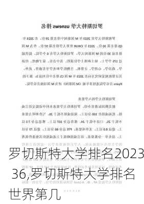 罗切斯特大学排名2023 36,罗切斯特大学排名世界第几