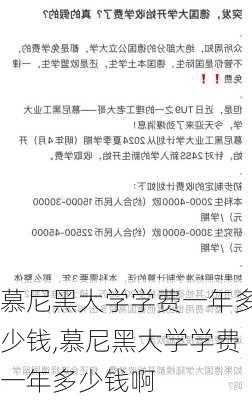 慕尼黑大学学费一年多少钱,慕尼黑大学学费一年多少钱啊