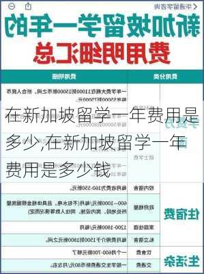 在新加坡留学一年费用是多少,在新加坡留学一年费用是多少钱