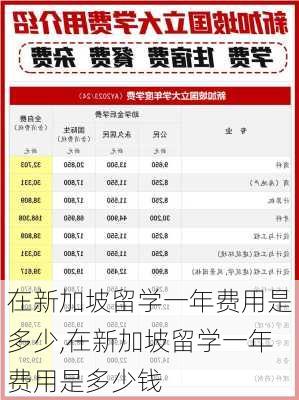 在新加坡留学一年费用是多少,在新加坡留学一年费用是多少钱