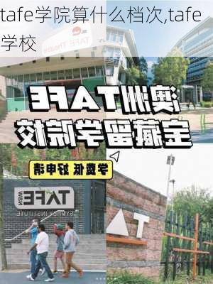 tafe学院算什么档次,tafe学校