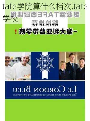 tafe学院算什么档次,tafe学校