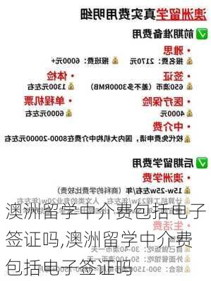 澳洲留学中介费包括电子签证吗,澳洲留学中介费包括电子签证吗