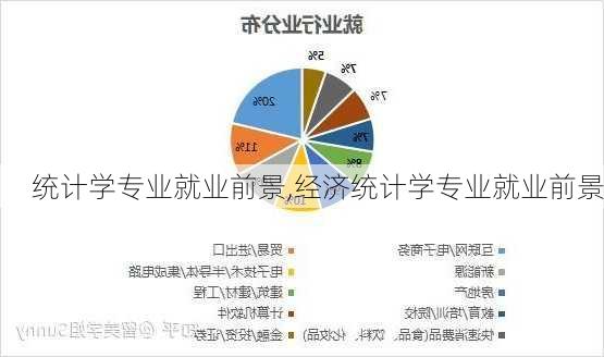 统计学专业就业前景,经济统计学专业就业前景